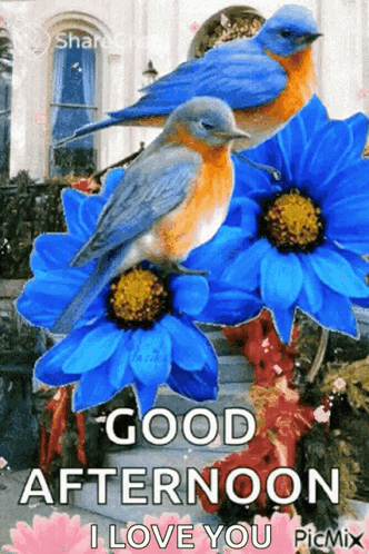 A Good Afternoon I Love You Greeting Card With Blue Flowers And Birds GIF