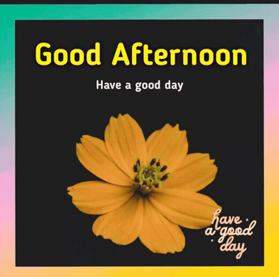 A Good Afternoon Message With A Yellow Flower GIF