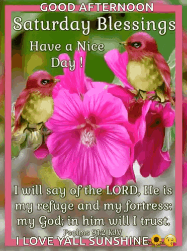 A Good Afternoon Saturday Blessings Have A Nice Day Card With Pink Flowers And Birds GIF