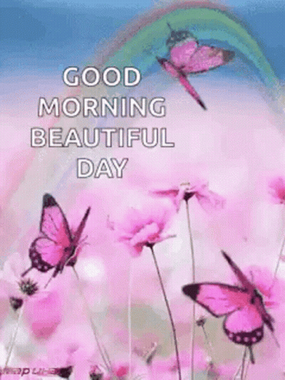 A Good Morning Beautiful Day Greeting Card With Pink Butterflies Flying Over Pink Flowers . GIF