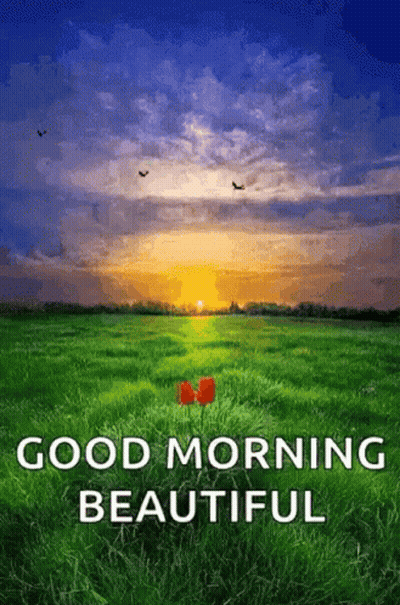A Good Morning Beautiful Greeting Card With A Field Of Grass And A Sunset In The Background GIF