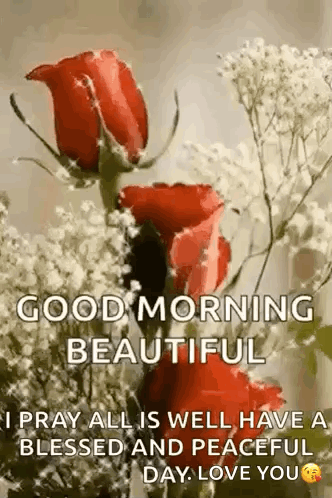 A Good Morning Beautiful I Pray All Is Well Have A Blessed And Peaceful Day Love You . GIF