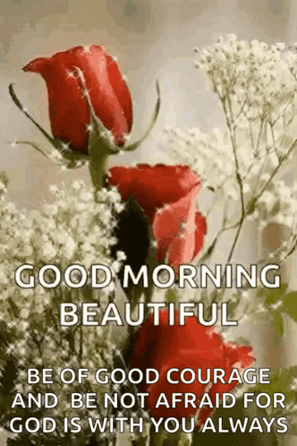 A Good Morning Beautiful Message With Red Roses And Baby 'S Breath GIF