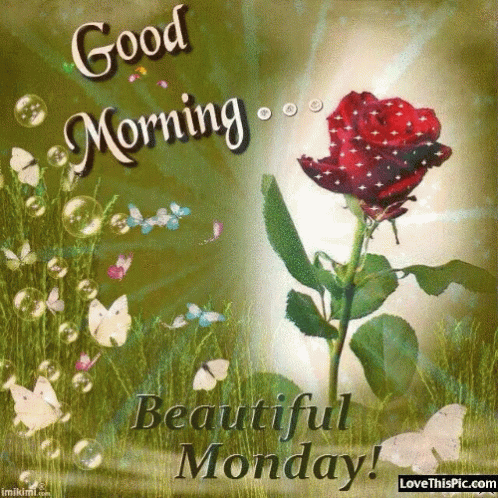 A Good Morning Beautiful Monday Card With A Rose And Butterflies GIF