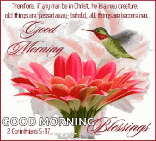 A Good Morning Blessing Card With A Hummingbird And A Flower GIF