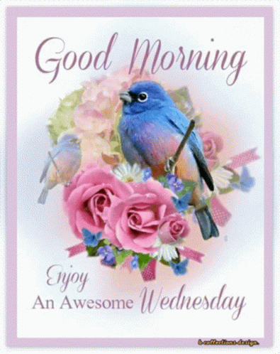 A Good Morning Card With A Bird Sitting On A Bouquet Of Pink Roses . GIF