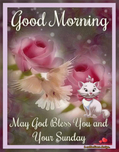 A Good Morning Card With A Cat And Flowers GIF