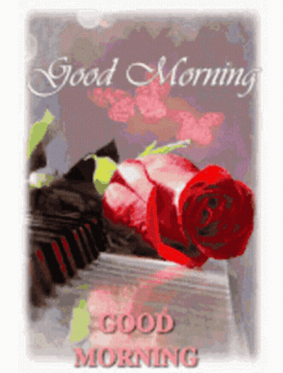 A Good Morning Card With A Red Rose On Top Of A Piano Keyboard GIF