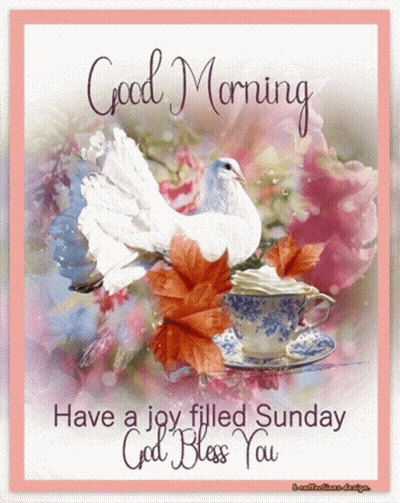 A Good Morning Card With A White Dove And A Cup Of Tea GIF
