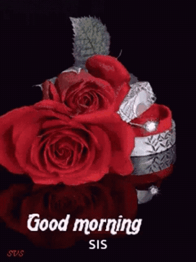 A Good Morning Card With An Orange Rose In The Water GIF