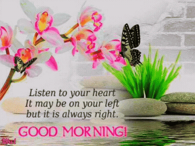 A Good Morning Card With Flowers , Rocks And Butterflies GIF