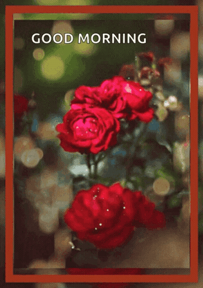 A Good Morning Card With Red Roses And A Heart On It GIF
