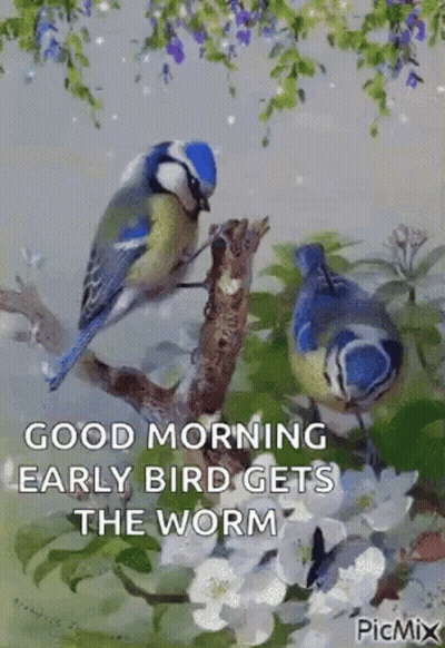 A Good Morning Early Bird Gets The Worm GIF