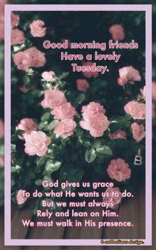 A Good Morning Friends Have A Lovely Tuesday Greeting Card GIF