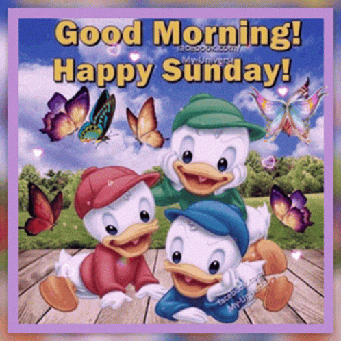 A Good Morning Greeting Card With Donald Duck And Mickey Mouse GIF
