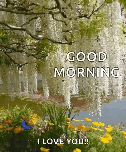 A Good Morning Greeting Card With Flowers And Butterflies And The Words `` I Love You '' . GIF