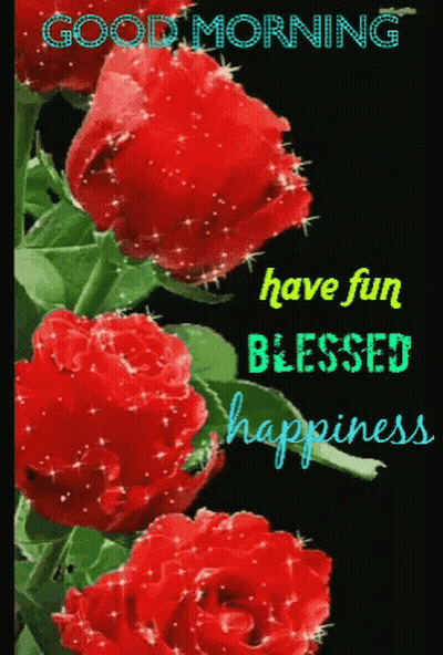 A Good Morning Greeting Card With Red Roses And The Words Have Fun Blessed Happiness GIF