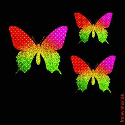 A Good Morning Greeting Card With Three Colorful Butterflies On A Black Background GIF