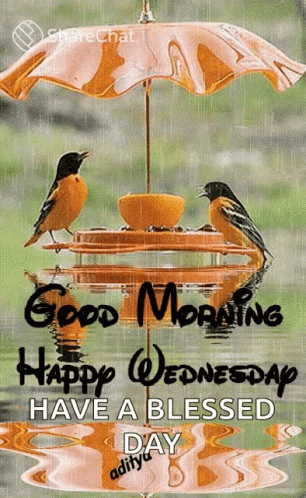 A Good Morning Happy Wednesday Have A Blessed Day Card GIF