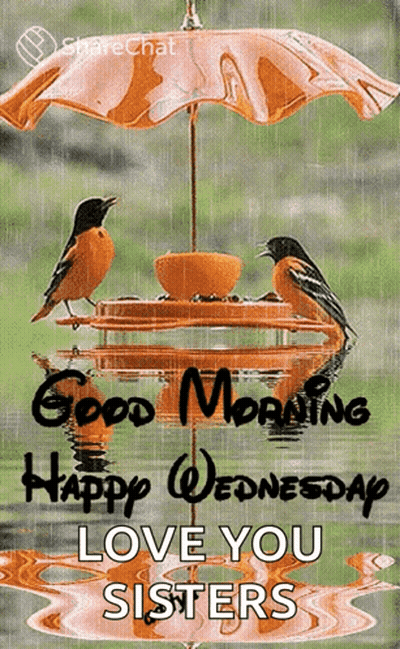 A Good Morning Happy Wednesday Love You Sisters Card GIF