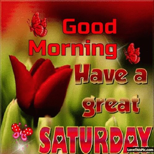 A Good Morning Have A Great Saturday Card With A Red Flower GIF