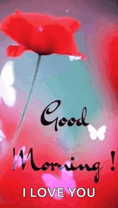 A Good Morning I Love You Greeting Card With A Red Flower And Butterflies . GIF