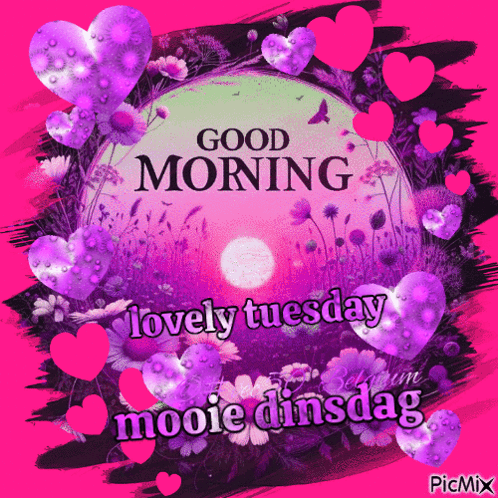 A Good Morning Lovely Tuesday Mooie Dinsdag Greeting Card GIF