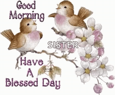 A Good Morning Message To A Sister With Two Birds On A Branch GIF