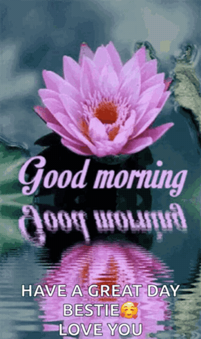 A Good Morning Message With A Purple Lotus Flower In The Water GIF