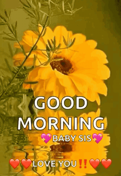 A Good Morning Message With A Yellow Flower And The Words `` Good Morning Baby Sis Love You '' . GIF