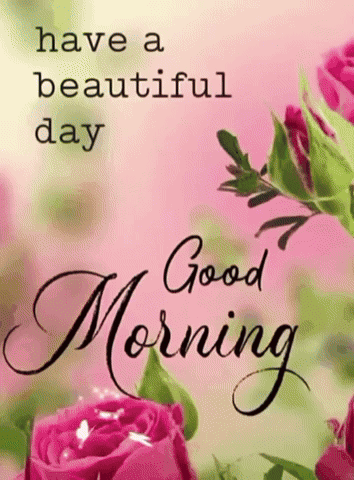 A Good Morning Message With Pink Roses On A Pink Background GIF