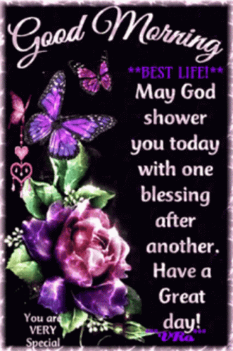 A Good Morning Message With Purple Butterflies And Roses GIF