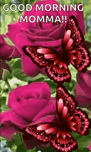 A Good Morning Momma Greeting Card With Butterflies And Pink Roses . GIF