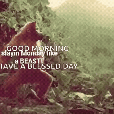 A Good Morning Slayin Monday Like A Beast ! Have A Blessed Day ! GIF