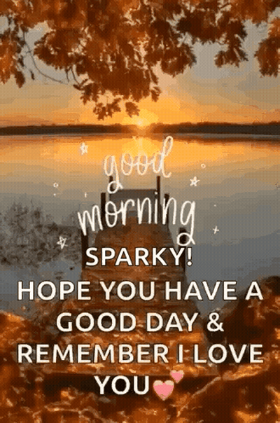 A Good Morning Sparkly ! Hope You Have A Good Day & Remember I Love You . GIF