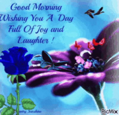 A Good Morning Wishing You A Day Full Of Joy And Laughter . GIF