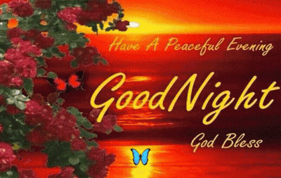 A Good Night Card With Flowers And Butterflies And The Words `` Have A Peaceful Evening Good Night God Bless '' . GIF