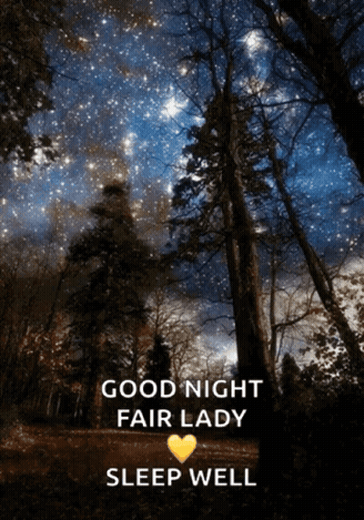 A Good Night Fair Lady Sleep Well Message With Trees In The Background GIF