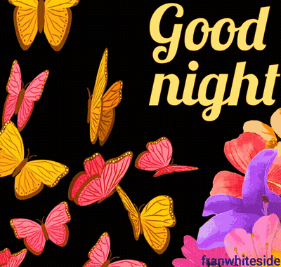 A Good Night Greeting Card With Butterflies And Flowers On A Black Background GIF