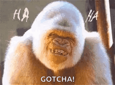 A Gorilla Is Making A Funny Face And Laughing While Standing Next To A Window . GIF