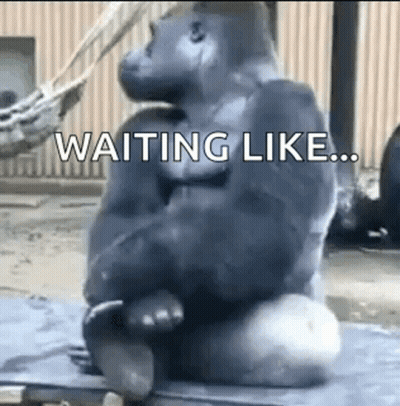 A Gorilla Is Sitting On Top Of A Rock With The Words `` Waiting Like ... '' Written On It . GIF