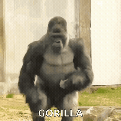 A Gorilla Is Standing In Front Of A Building With The Word Gorilla On It GIF