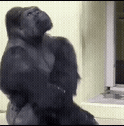 A Gorilla Is Standing In Front Of A Mirror Looking Up . GIF
