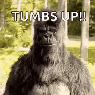 A Gorilla Is Standing In The Woods With The Words `` Tums Up ! '' GIF