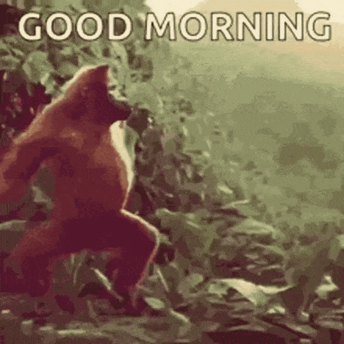 A Gorilla Is Standing On A Rock In The Jungle With The Words `` Good Morning '' Written Above It . GIF