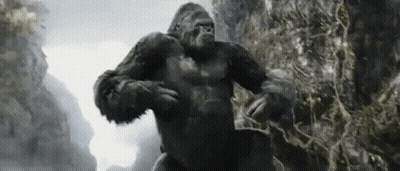 A Gorilla Is Standing On Top Of A Rocky Hillside . GIF
