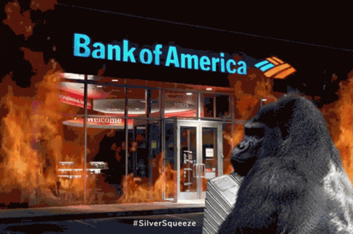 A Gorilla Standing In Front Of A Bank Of America Building GIF