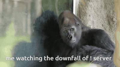 A Gorilla With The Words Me Watching The Downfall Of Server Above It GIF