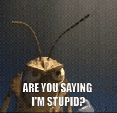A Grasshopper Says Do I Look Stupid To You While Looking At The Camera GIF