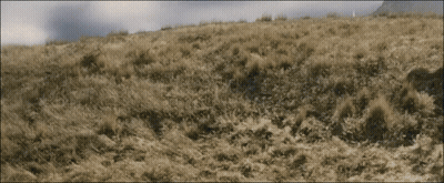 A Grassy Hillside With A Few Trees In The Background GIF